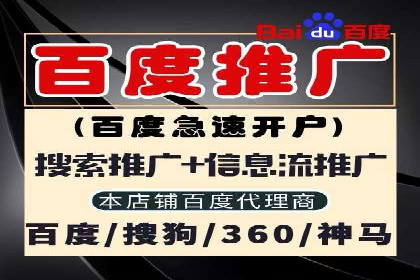 案例研究：SEM推广助力企业业绩增长